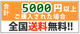 5000�߰ʾ���������̵��