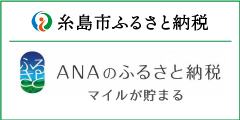 ANAのふるさと納税