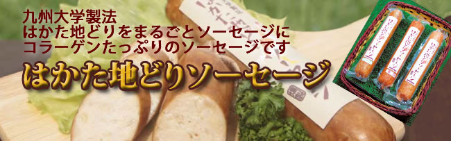 はかた地どりソーセージ　博多のお土産